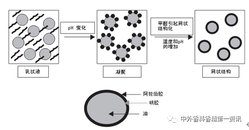 香精包埋与缓释技术的研究进展