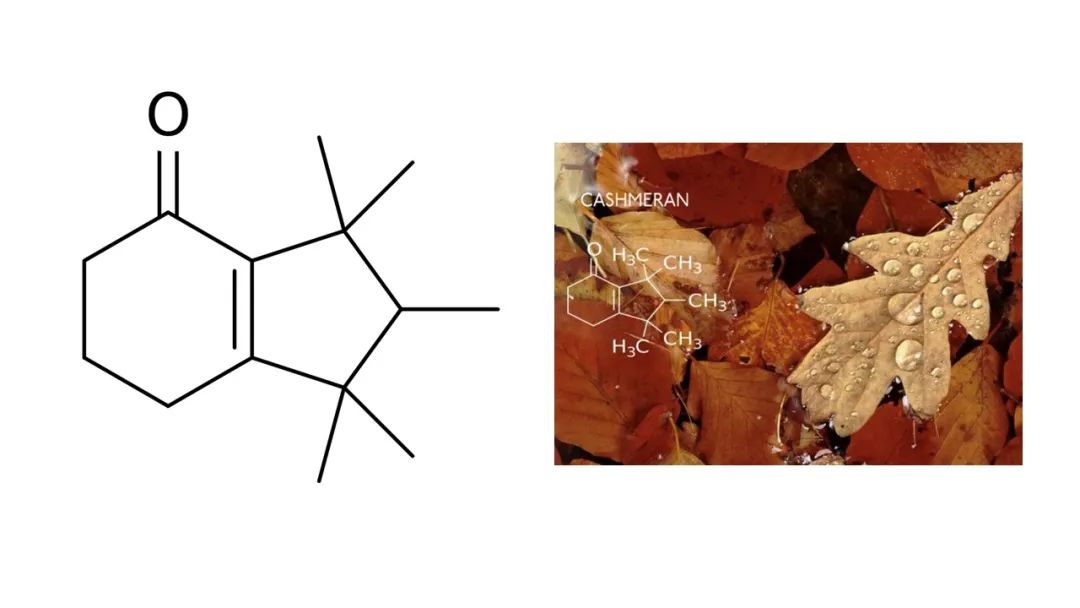 调香笔记(8)——50种常见的香水成分:气味和起源