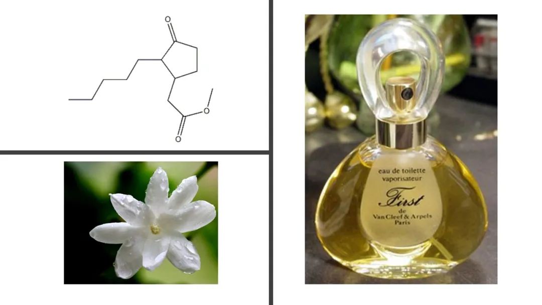 调香笔记(8)——50种常见的香水成分:气味和起源