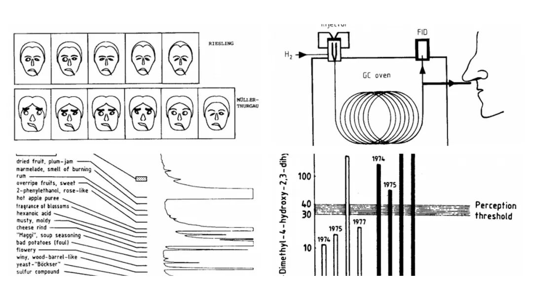 调香笔记(9)——多感官味觉感知:感官内部和感官之间的调和、混合、融合和配对