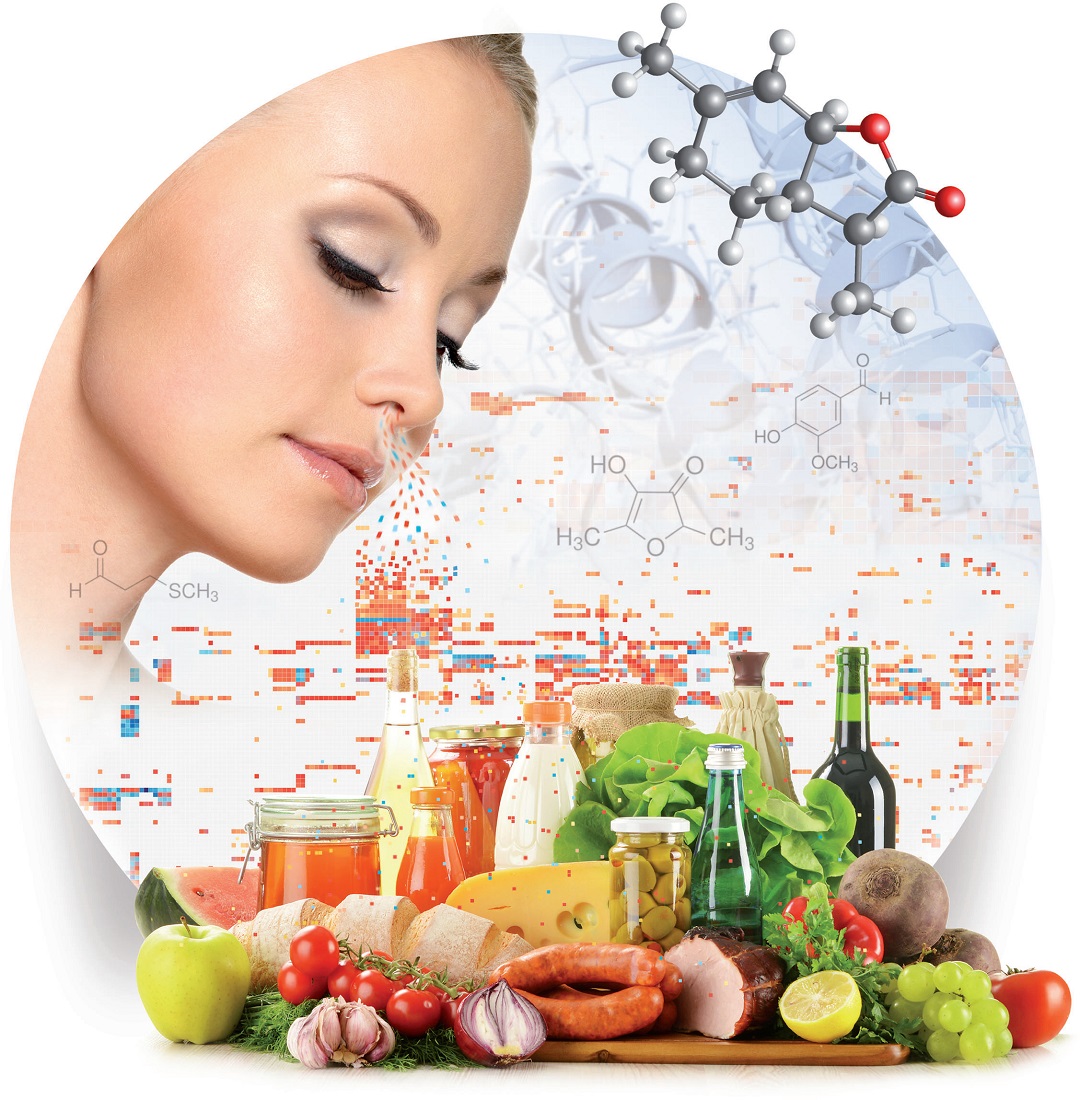 人类嗅觉中的自然化学特征:未来生物技术的食源性视角(1)