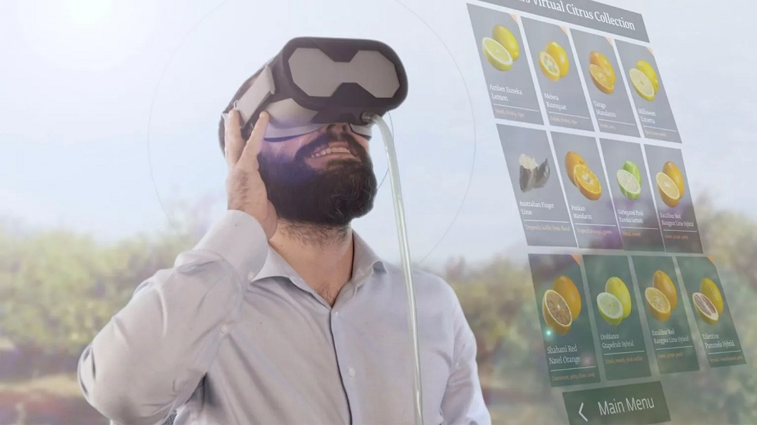 虚拟现实商业-奇华顿虚拟口味旅行®柑橘-把风味创造到下一个水平