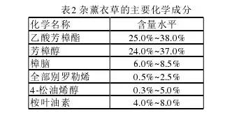 行情分析:薰衣草的未来