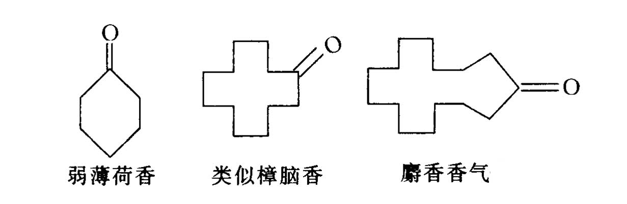 香料的分子结构与香气的关系