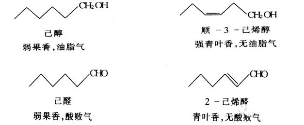 香料的分子结构与香气的关系