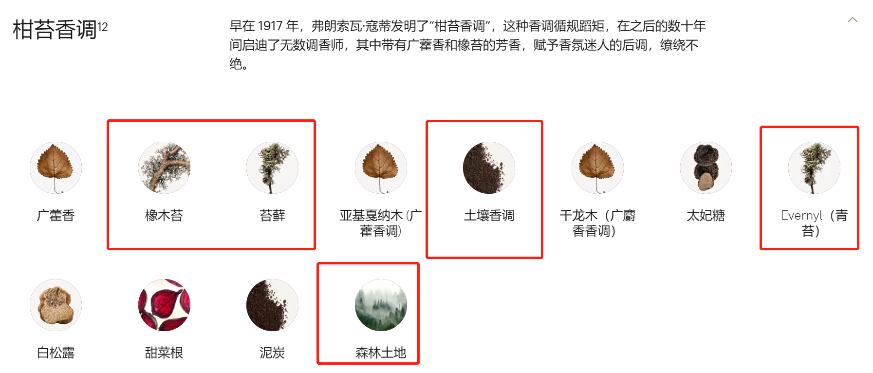 香水中的灌木丛气息