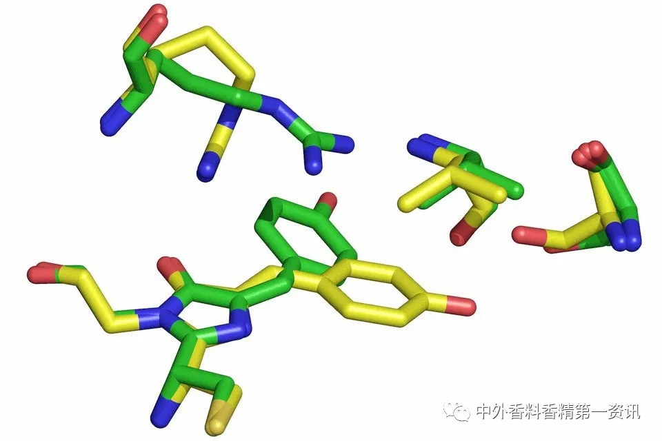 香气与色彩的关系