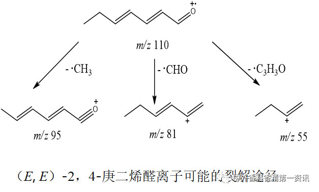 气相色谱-质谱定性分析