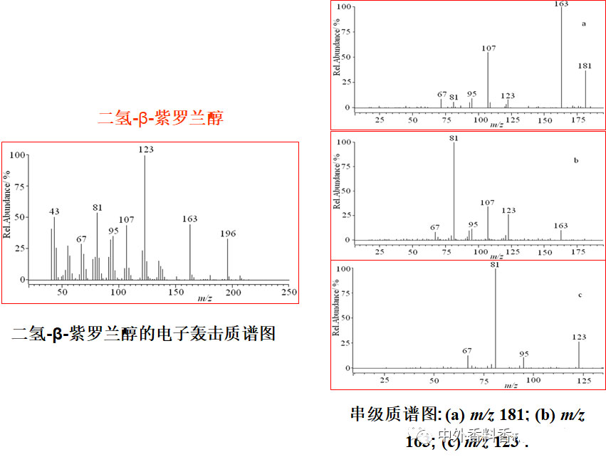 气相色谱-质谱定性分析