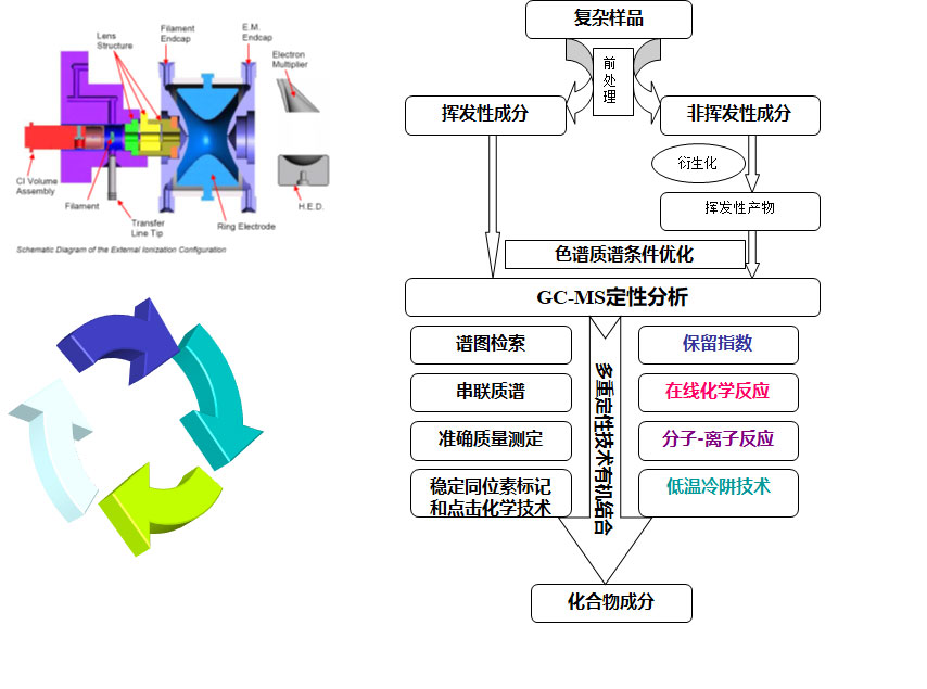 气相色谱-质谱定性分析