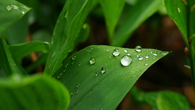 唤醒你的雨天记忆